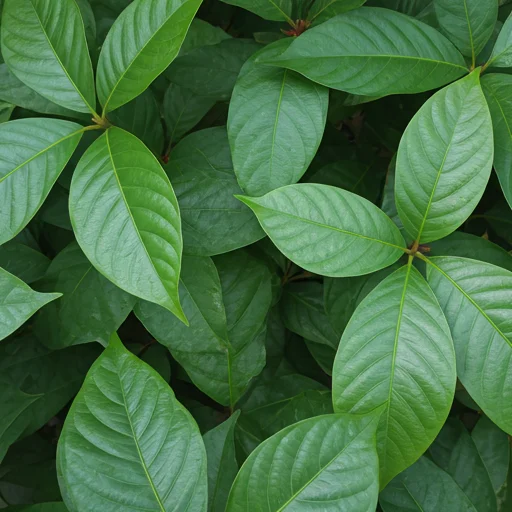 Construction background